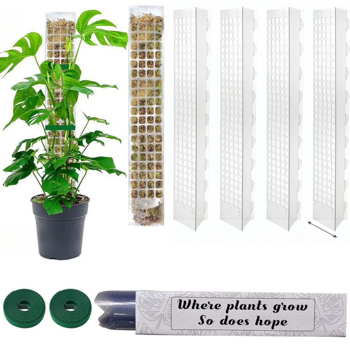 Monstera Thai Constellation - 24/36/48 นิ้วพืชปีนเขาน้ํา MOSS คอลัมน์พลาสติกในร่ม MOSS POLE
