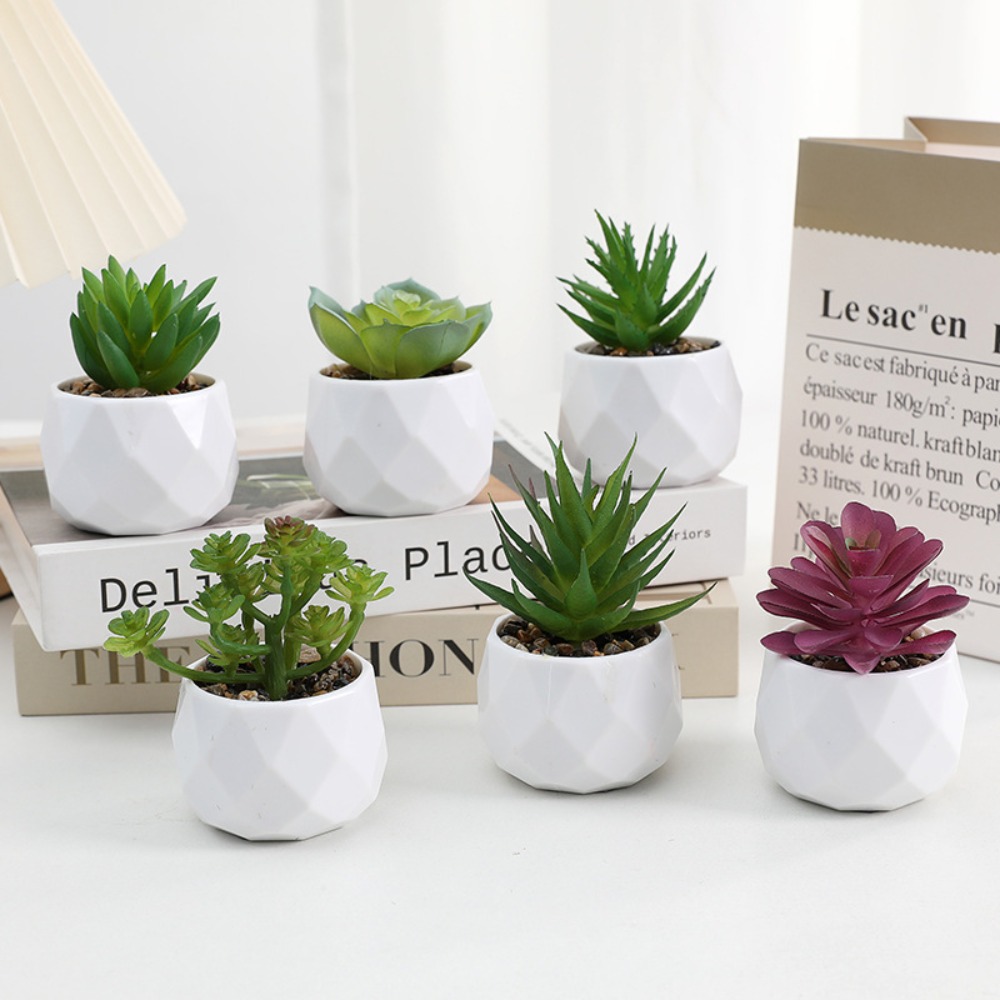 Cactus Mix Pot - ต้นกระบองเพชรจำลอง ต้นไม้ปลอม ต้นไม้ประดับตกแต่งบ้าน กระถางต้นไม้ขนาดเล็ก