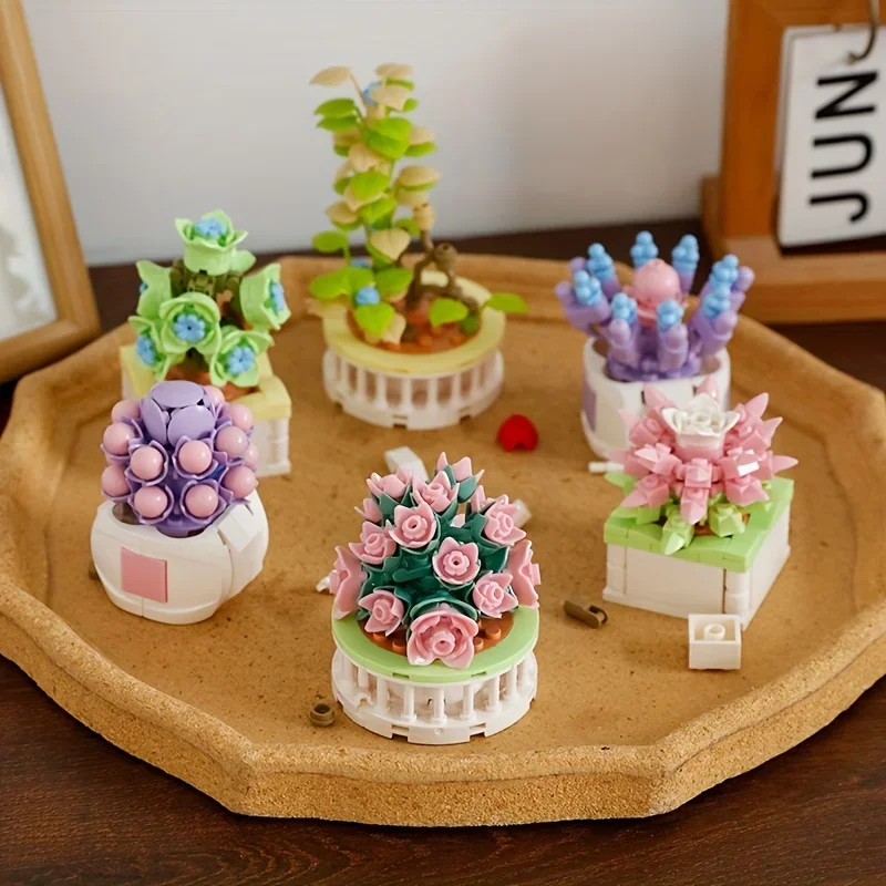 Cactus Mix Pot - บล็อกซิตี้ ชุดปลูกต้นไม้ในกระถาง ต้นกระบองเพชร ต้นยิปโซฟิลลา ต้นบอนไซ สวนสวย