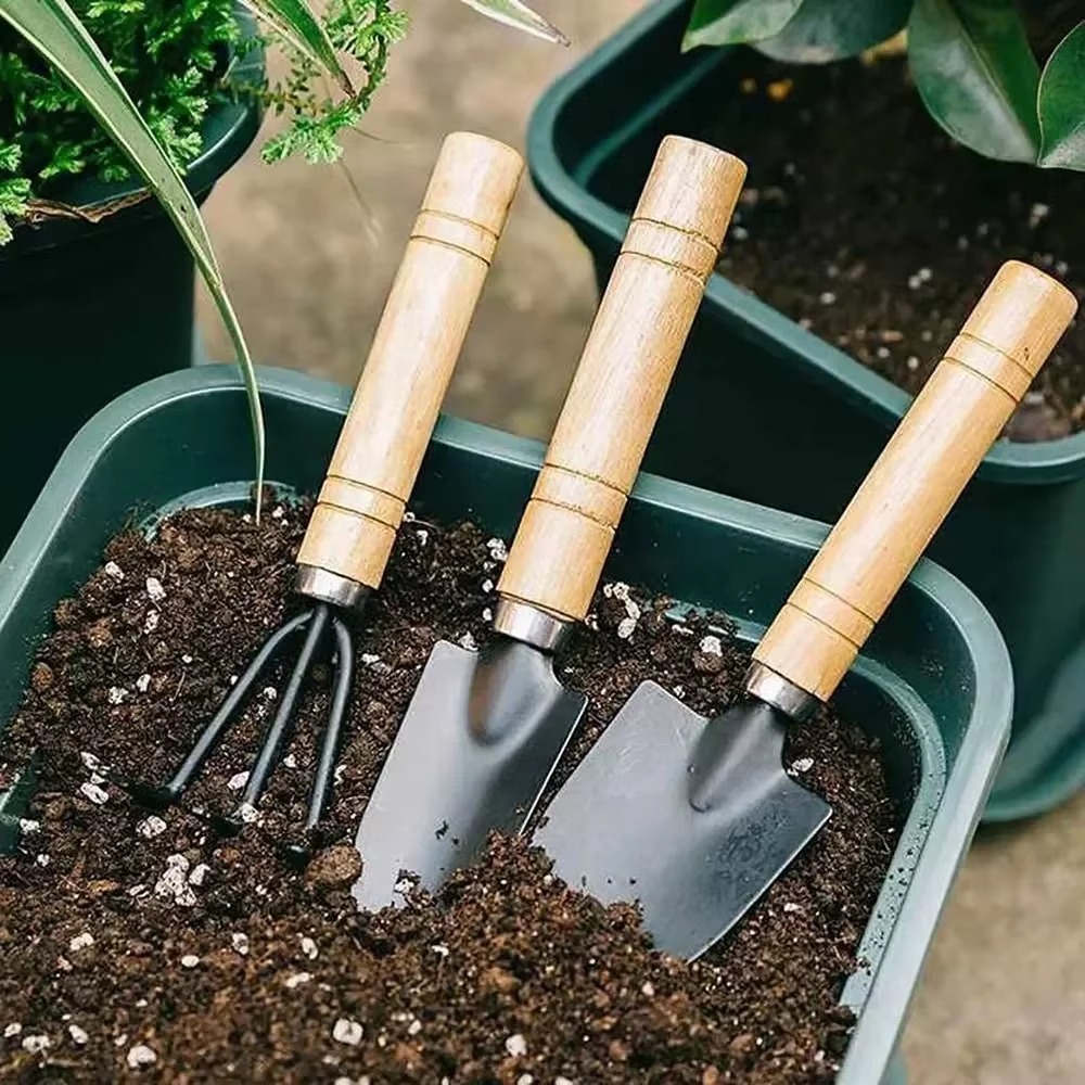 Cactus Mix Pot - ชุดเครื่องมือทำสวนขนาดเล็ก 3 ชิ้น/ชุด สำหรับปลูกต้นไม้ กระถางดอกไม้ กระบองเพชร
