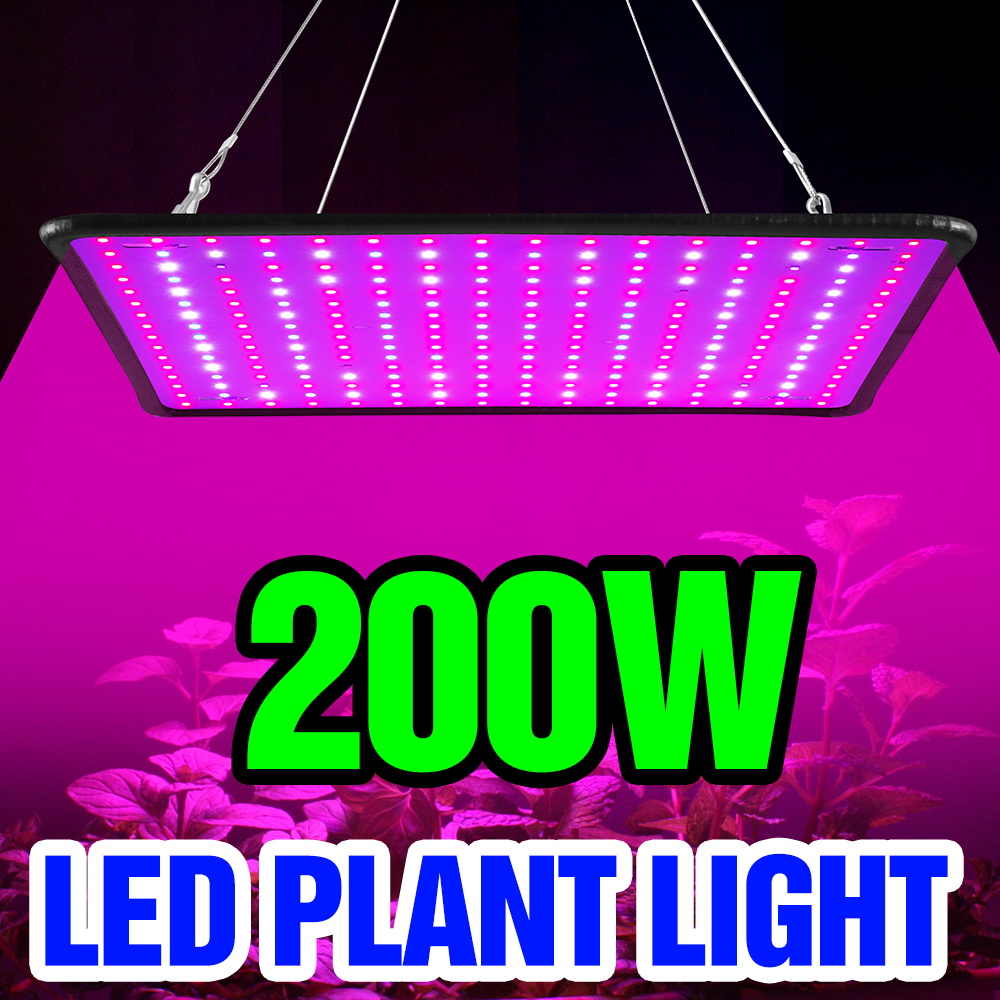 Cactus Mix Pot - ไฟปลูกต้นไม้แบบควอนตัมบอร์ด LED 200W สเปกตรัมเต็มรูปแบบ สำหรับปลูกพืชในเรือนกระจก ปลูกผักในกระถาง