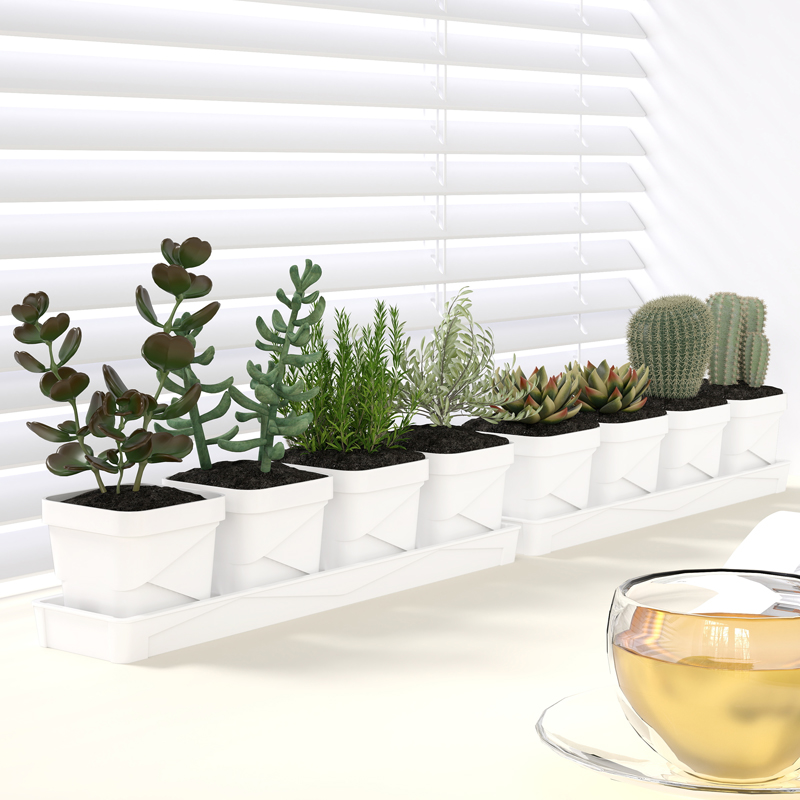Cactus Mix Pot - กระถางต้นไม้สไตล์นอร์ดิกมินิมอลพร้อมถาดรอง วัสดุพลาสติกหนา สำหรับปลูกกระบองเพชร ต้นไม้ในร่ม ระเบียง ต้นไม้สีเขียว