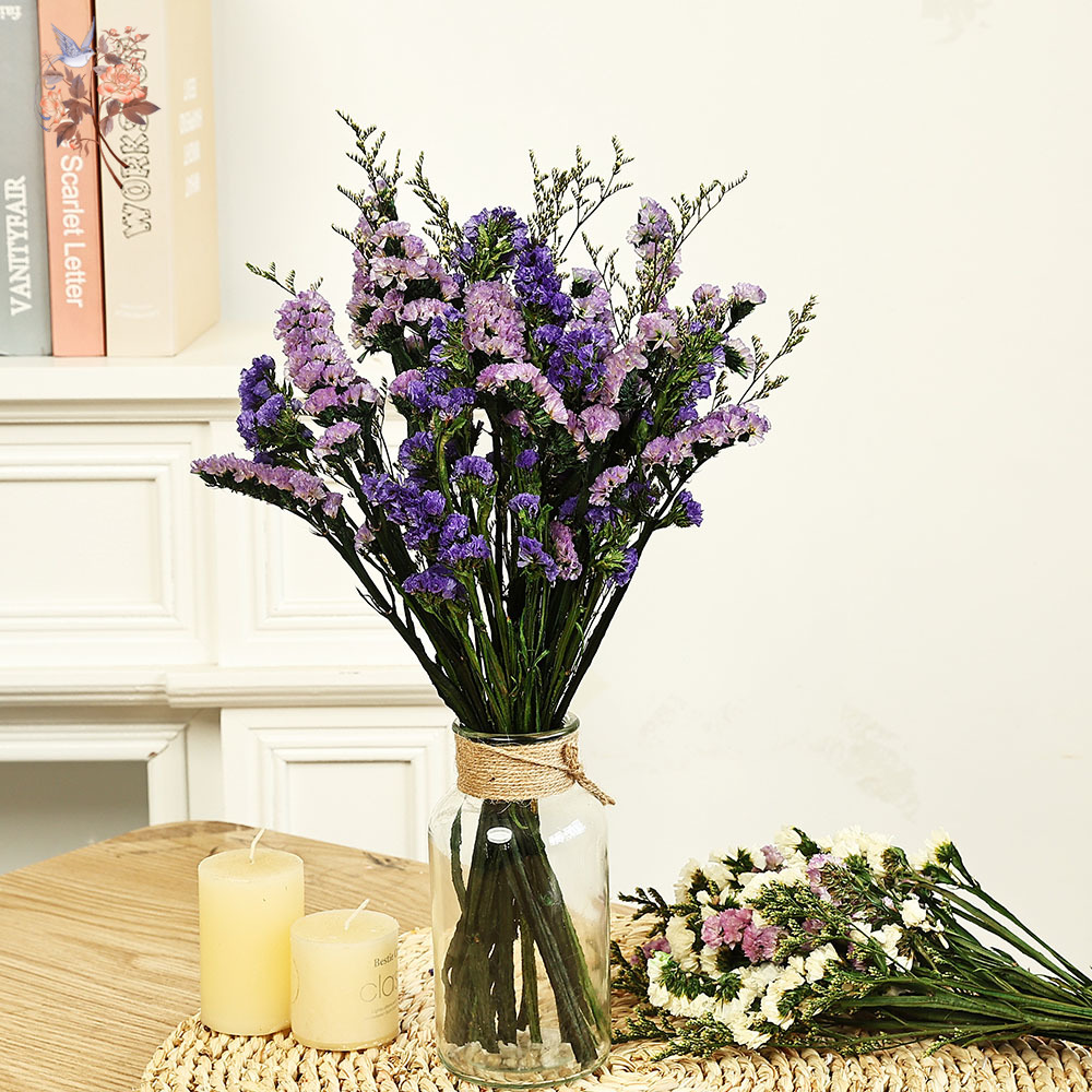 Plant Parent Gifts - 100g ธรรมชาติจริงลืม-me-not ดอกไม้ช่อดอกไม้ผสมหญ้า Limonium สําหรับคู่แฟนโรแมนติกของขวัญพืชแห้ง Bundle