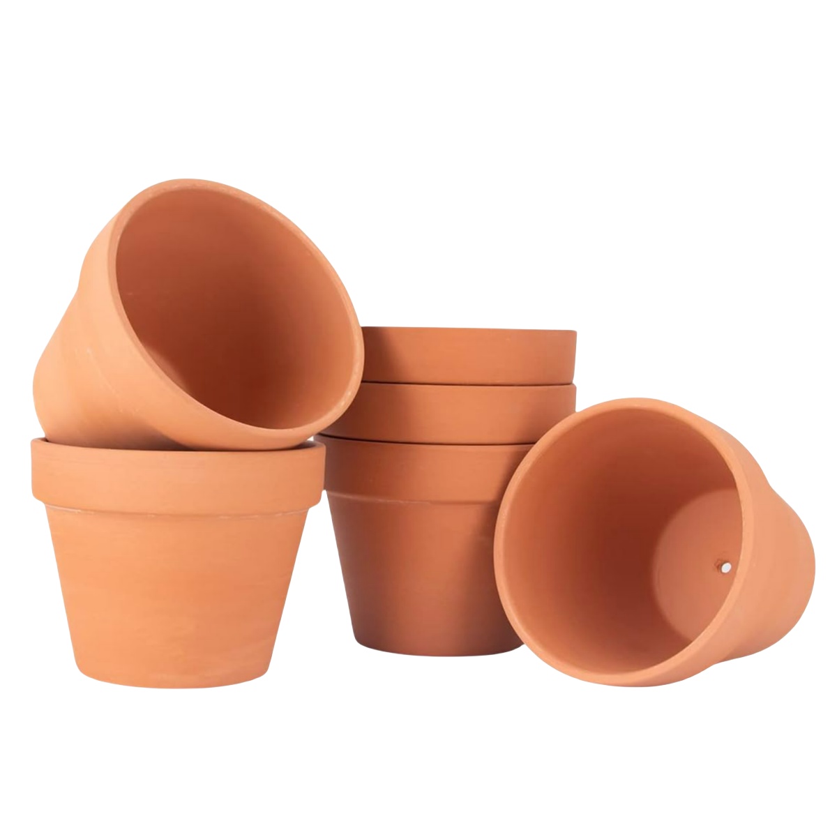 6 ชิ้น 4 นิ้ว Terracotta Pots  - Cactus Mix Pot บทวิจารณ์และราคา