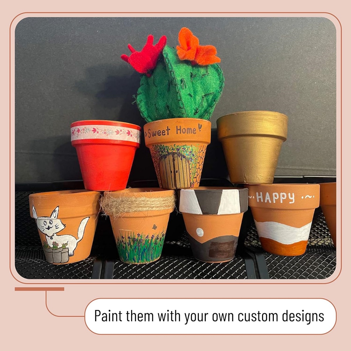 6 ชิ้น 4 นิ้ว Terracotta Pots  - Cactus Mix Pot บทวิจารณ์และราคา