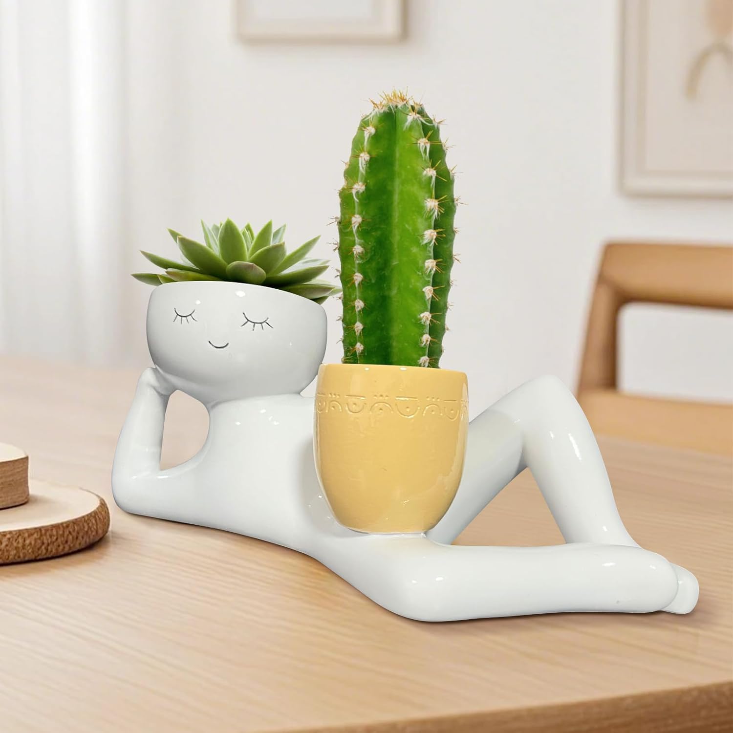 กระถางต้นไม้รูปคนขี้เกียจสุดน่ - Cactus Mix Pot บทวิจารณ์และราคา