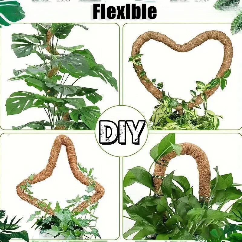 ไม้ค้ำยันต้นไม้แบบโค้งงอได้ ขน - Monstera Thai Constellation บทวิจารณ์และราคา