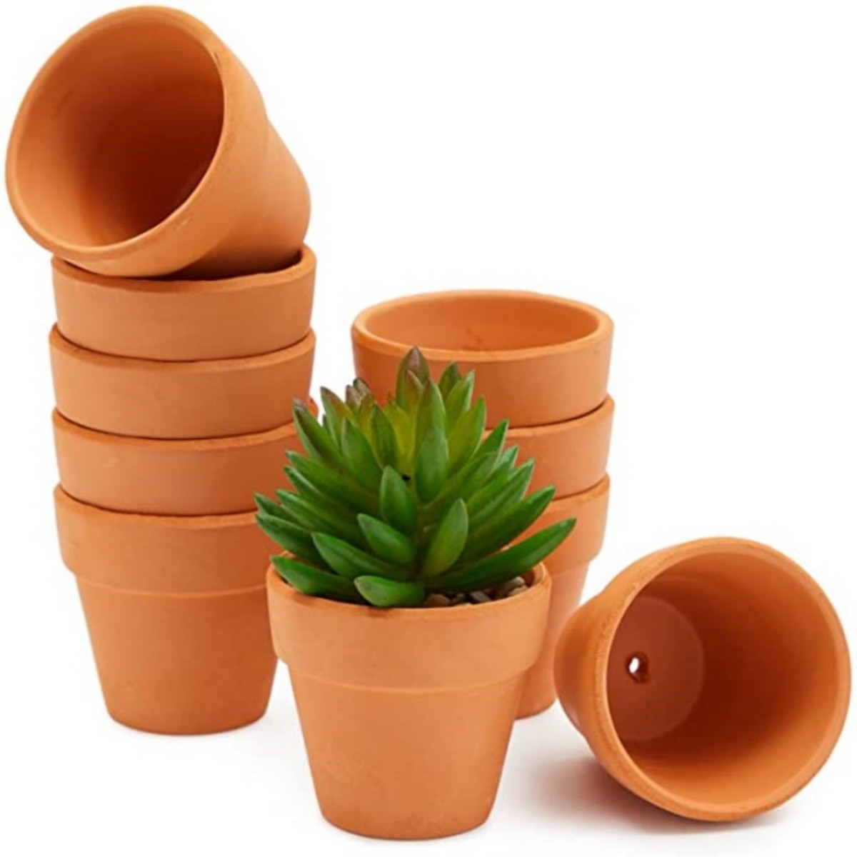 16 ชิ้น 1.8 ''Terra Cotta Pots - Cactus Mix Pot บทวิจารณ์และราคา