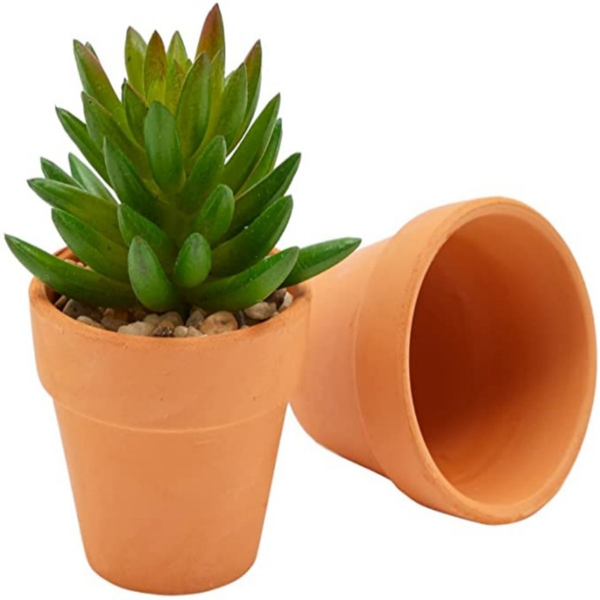 16 ชิ้น 1.8 ''Terra Cotta Pots - Cactus Mix Pot บทวิจารณ์และราคา