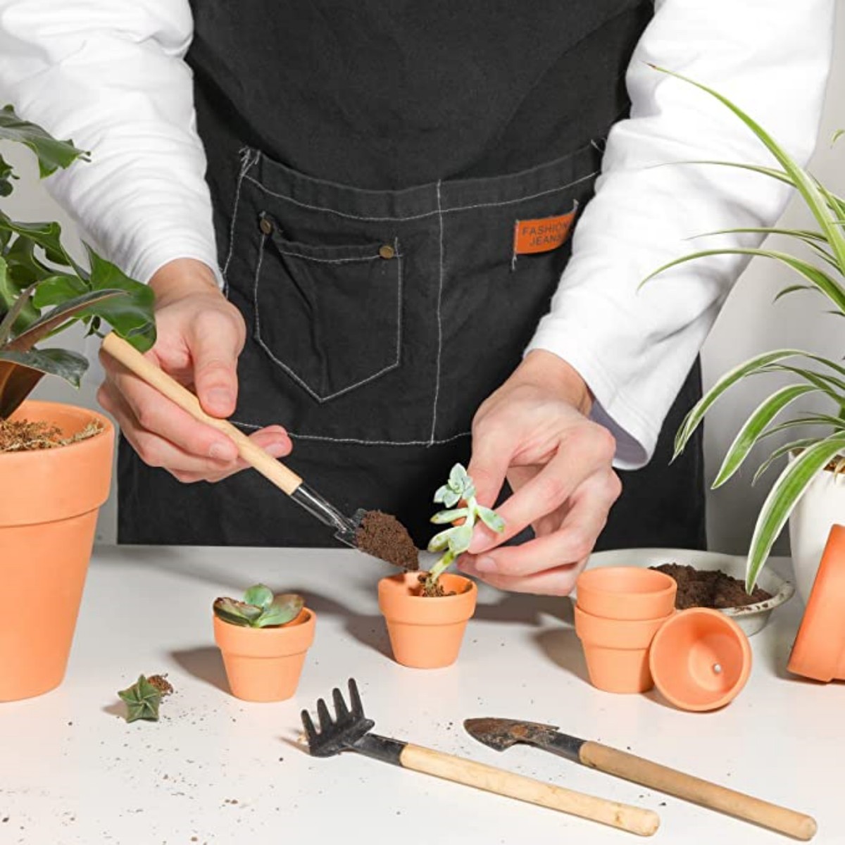 16 ชิ้น 1.8 ''Terra Cotta Pots - Cactus Mix Pot บทวิจารณ์และราคา