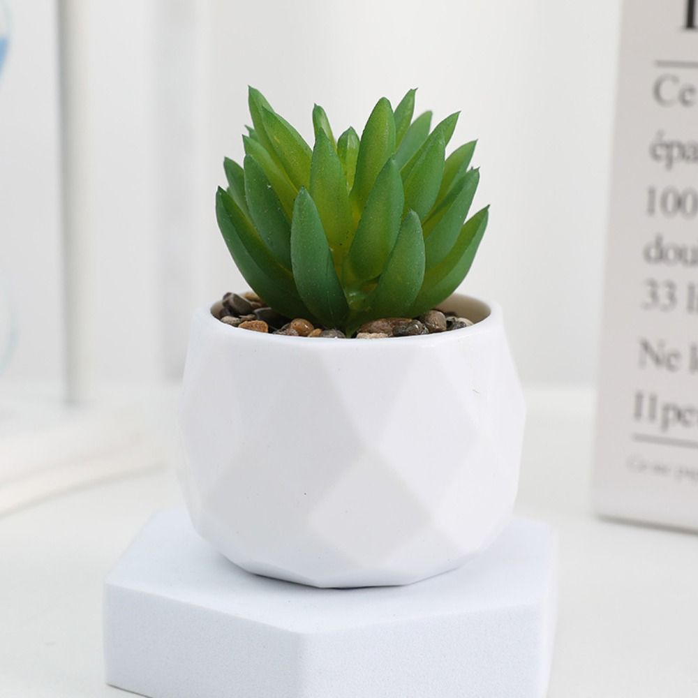 ต้นกระบองเพชรจำลอง ต้นไม้ปลอม  - Cactus Mix Pot บทวิจารณ์และราคา