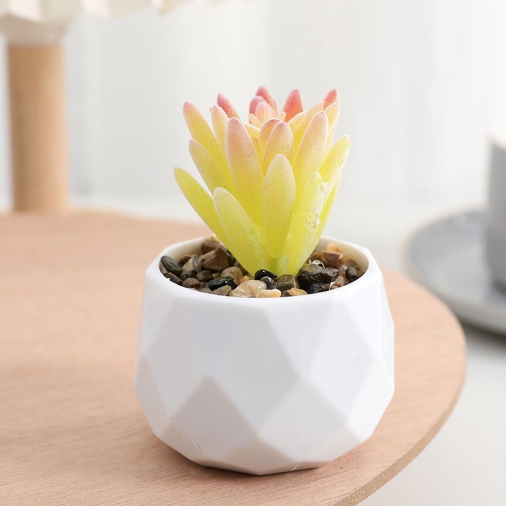 ต้นกระบองเพชรจำลอง ต้นไม้ปลอม  - Cactus Mix Pot บทวิจารณ์และราคา