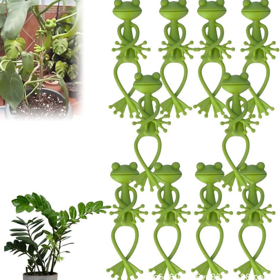 เสาค้ำต้นมะเขือเทศ 5 ชิ้น สำหร - Monstera Thai Constellation บทวิจารณ์และราคา