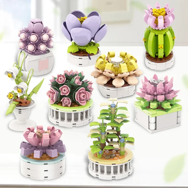 บล็อกซิตี้ ชุดปลูกต้นไม้ในกระถ - Cactus Mix Pot บทวิจารณ์และราคา