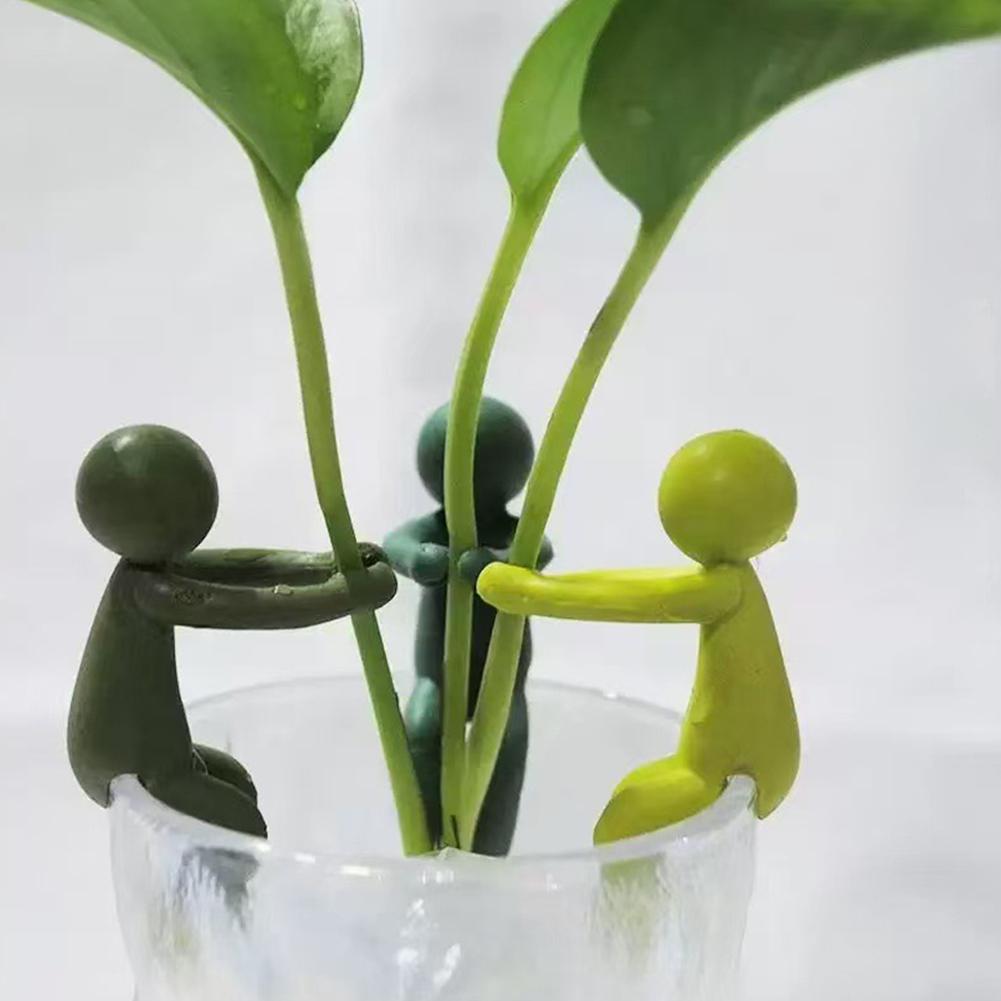 เสาค้ำต้นไม้แบบน่ารัก 3 ชิ้น ท - Monstera Thai Constellation บทวิจารณ์และราคา