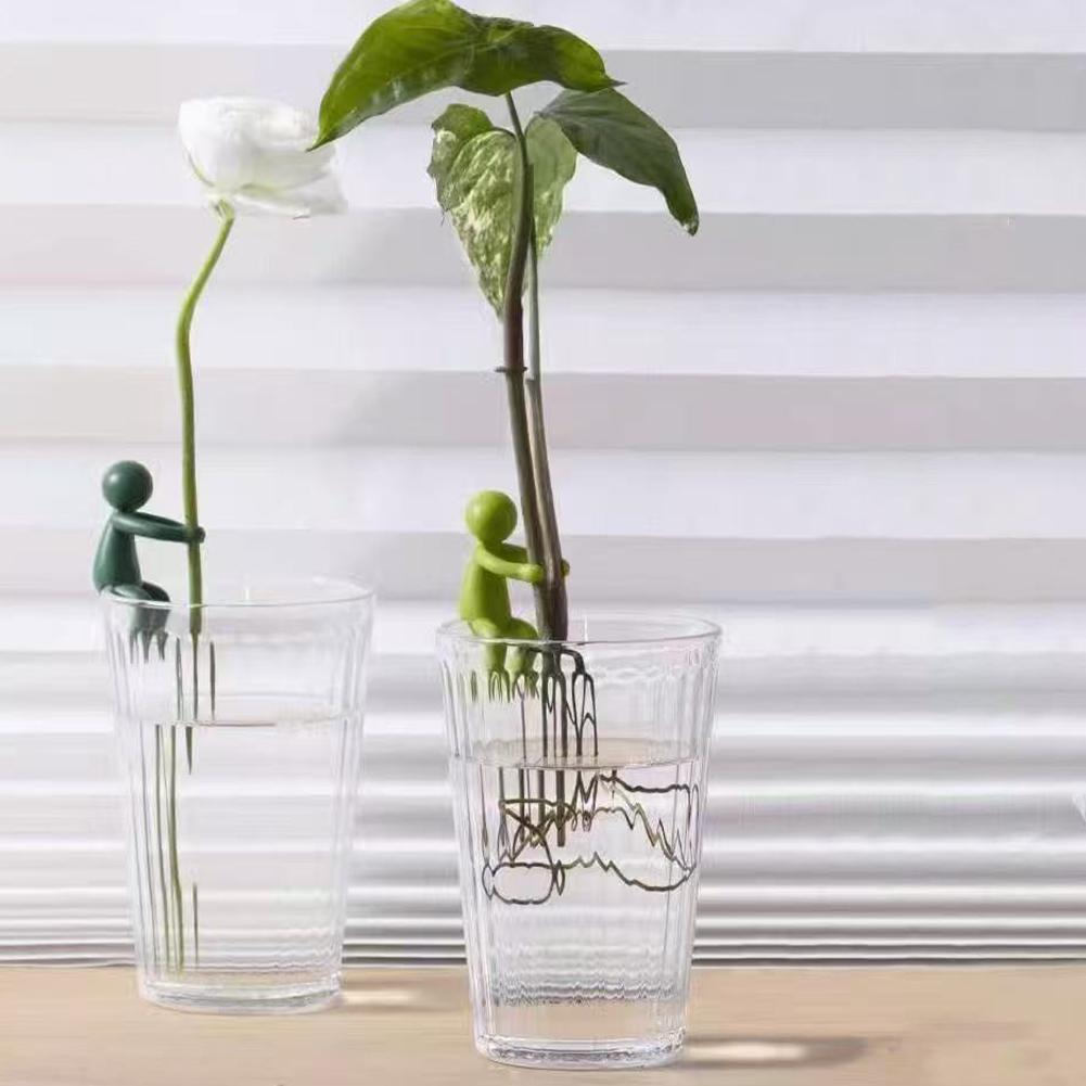 เสาค้ำต้นไม้แบบน่ารัก 3 ชิ้น ท - Monstera Thai Constellation บทวิจารณ์และราคา