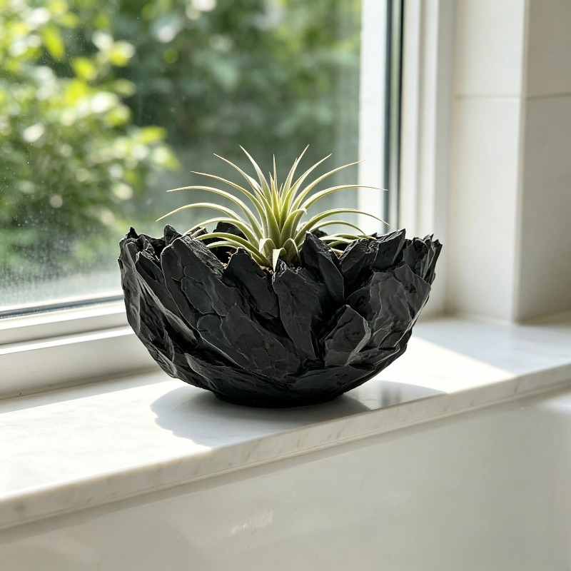 กระถางต้นไม้ขนาดใหญ่ ลายหิน ระ - Cactus Mix Pot บทวิจารณ์และราคา