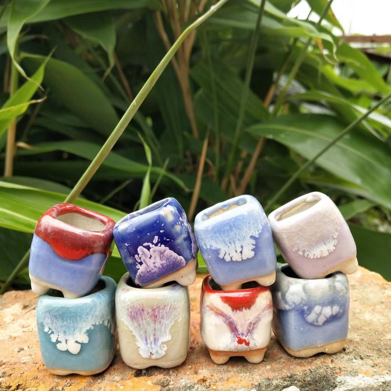 กระถางต้นไม้เซรามิกขนาดเล็ก10ช - Cactus Mix Pot บทวิจารณ์และราคา