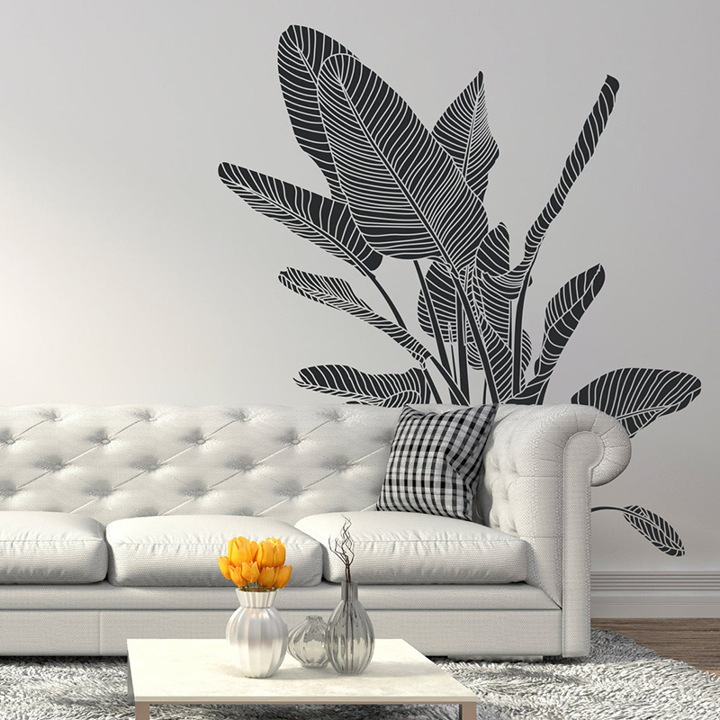 Bird Of Paradise Tropical Plan - Monstera Thai Constellation บทวิจารณ์และราคา