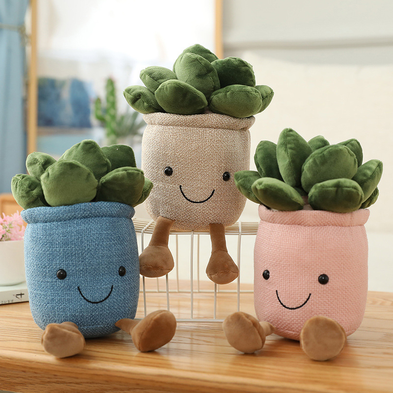 ตุ๊กตาต้นทิวลิปและไม้อวบน้ำเสม - Cactus Mix Pot บทวิจารณ์และราคา