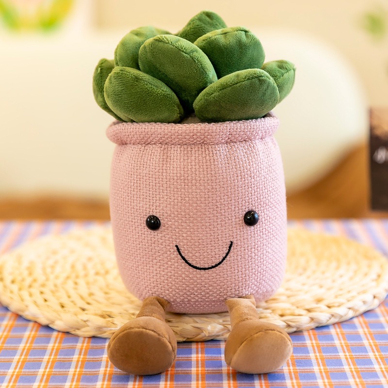 ตุ๊กตาต้นทิวลิปและไม้อวบน้ำเสม - Cactus Mix Pot บทวิจารณ์และราคา