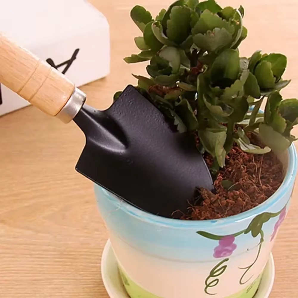 ชุดเครื่องมือทำสวนขนาดเล็ก 3 ช - Cactus Mix Pot บทวิจารณ์และราคา