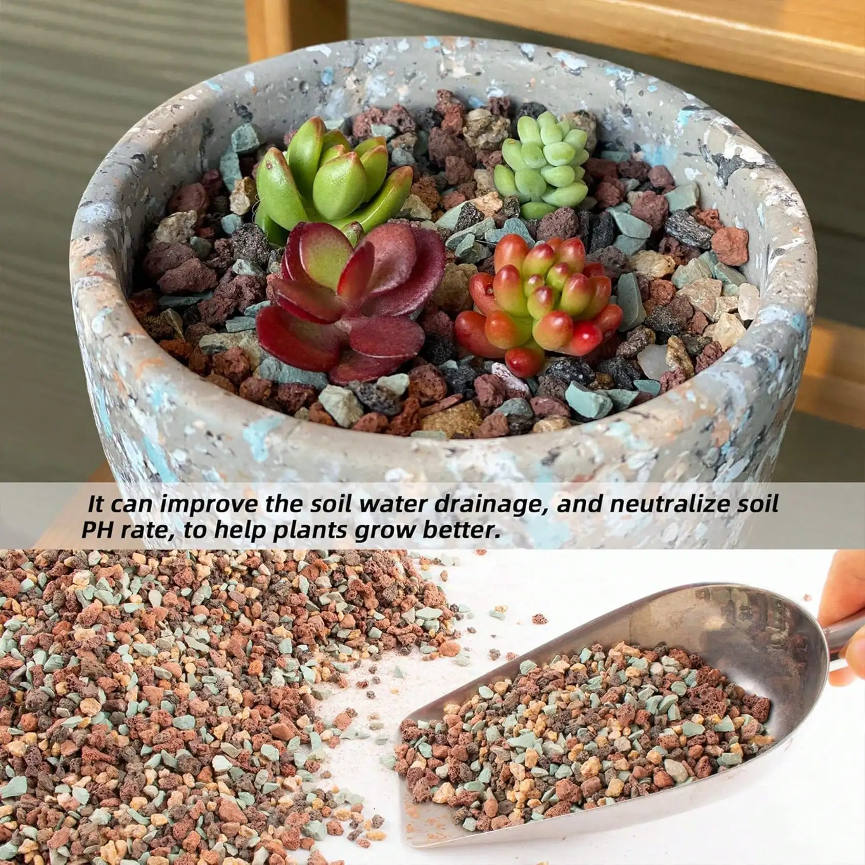 หินภูเขาไฟผสมสำหรับปลูกต้นไม้  - Cactus Mix Pot บทวิจารณ์และราคา