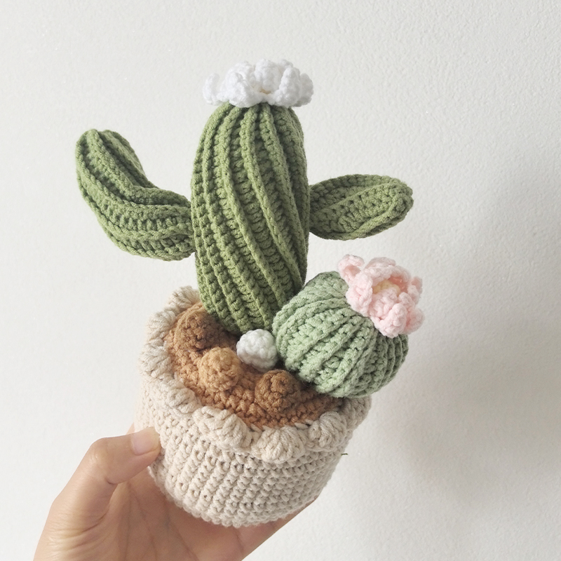 กระถางต้นไม้ถักโครเชต์สุดน่ารั - Cactus Mix Pot บทวิจารณ์และราคา