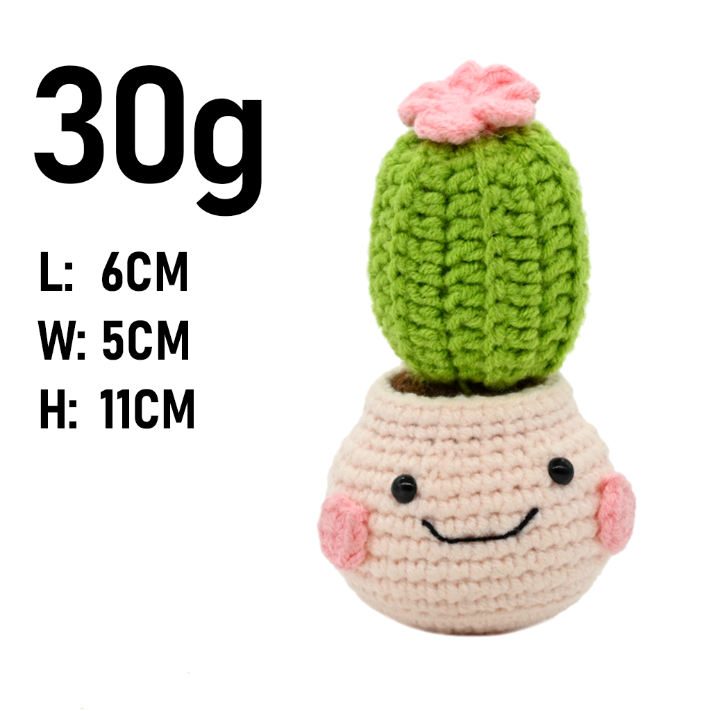 ต้นกระบองเพชรโครเชต์ PlantSeri - Cactus Mix Pot บทวิจารณ์และราคา