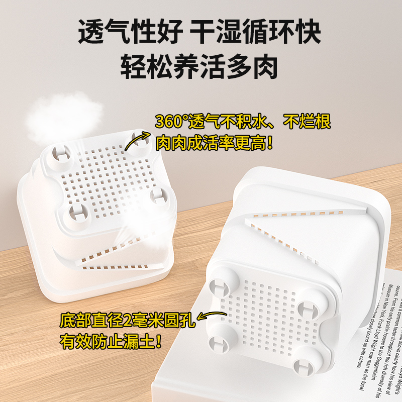 กระถางต้นไม้สไตล์นอร์ดิกมินิมอ - Cactus Mix Pot บทวิจารณ์และราคา