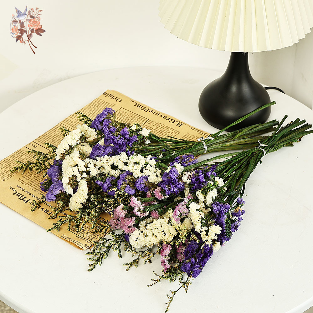 100g ธรรมชาติจริงลืม-me-not ดอ - Plant Parent Gifts บทวิจารณ์และราคา