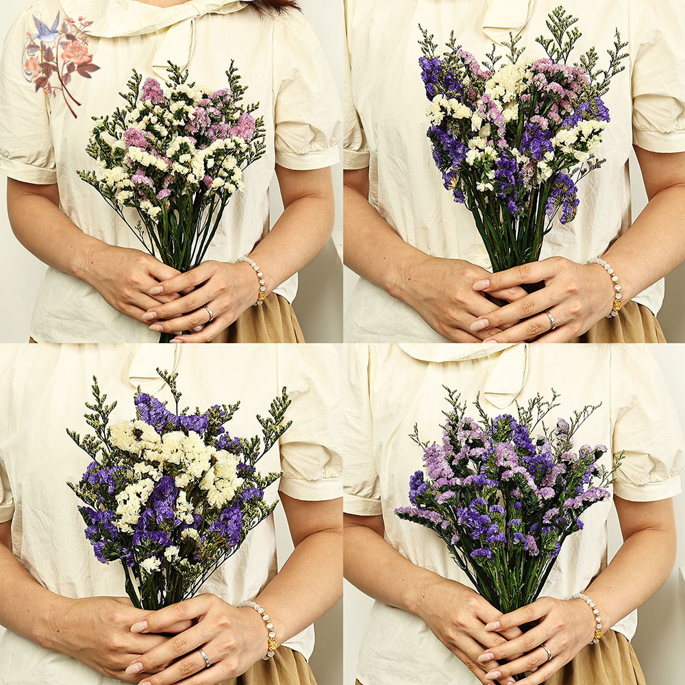 100g ธรรมชาติจริงลืม-me-not ดอ - Plant Parent Gifts บทวิจารณ์และราคา