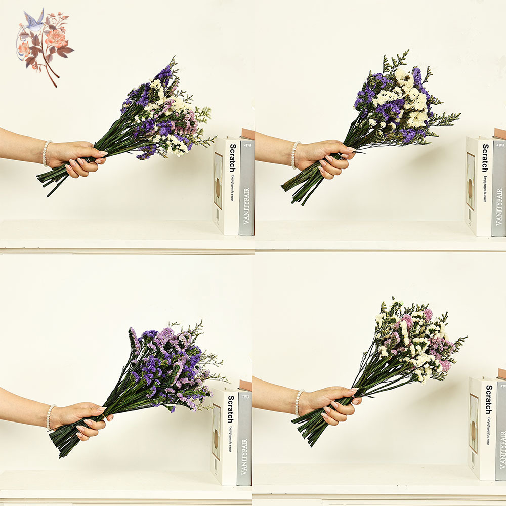 100g ธรรมชาติจริงลืม-me-not ดอ - Plant Parent Gifts บทวิจารณ์และราคา